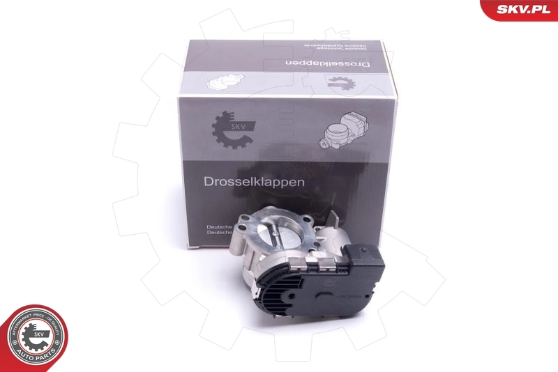Throttle Body